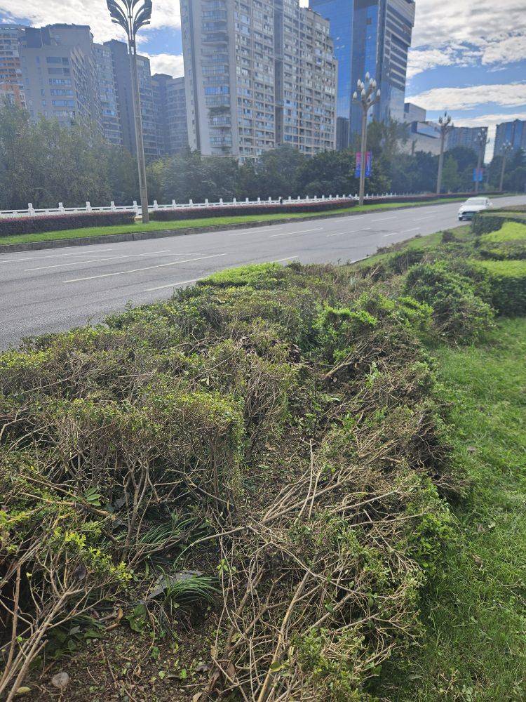 成都发生一起严重交通事故<strong></p>
<p>宁波银行股票</strong>，上游新闻实地探访：燃烧留下的印记仍在