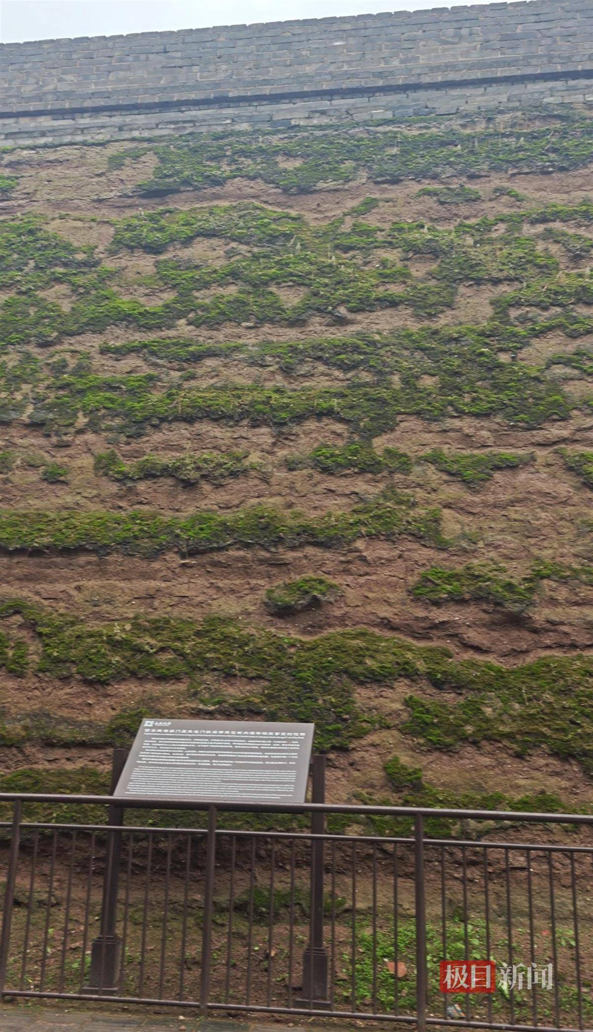 西安连续一个多月降雨遍地长蘑菇<strong></p>
<p>宁波银行股票</strong>，大雁塔受潮，城墙布满青苔，气象局解释成因