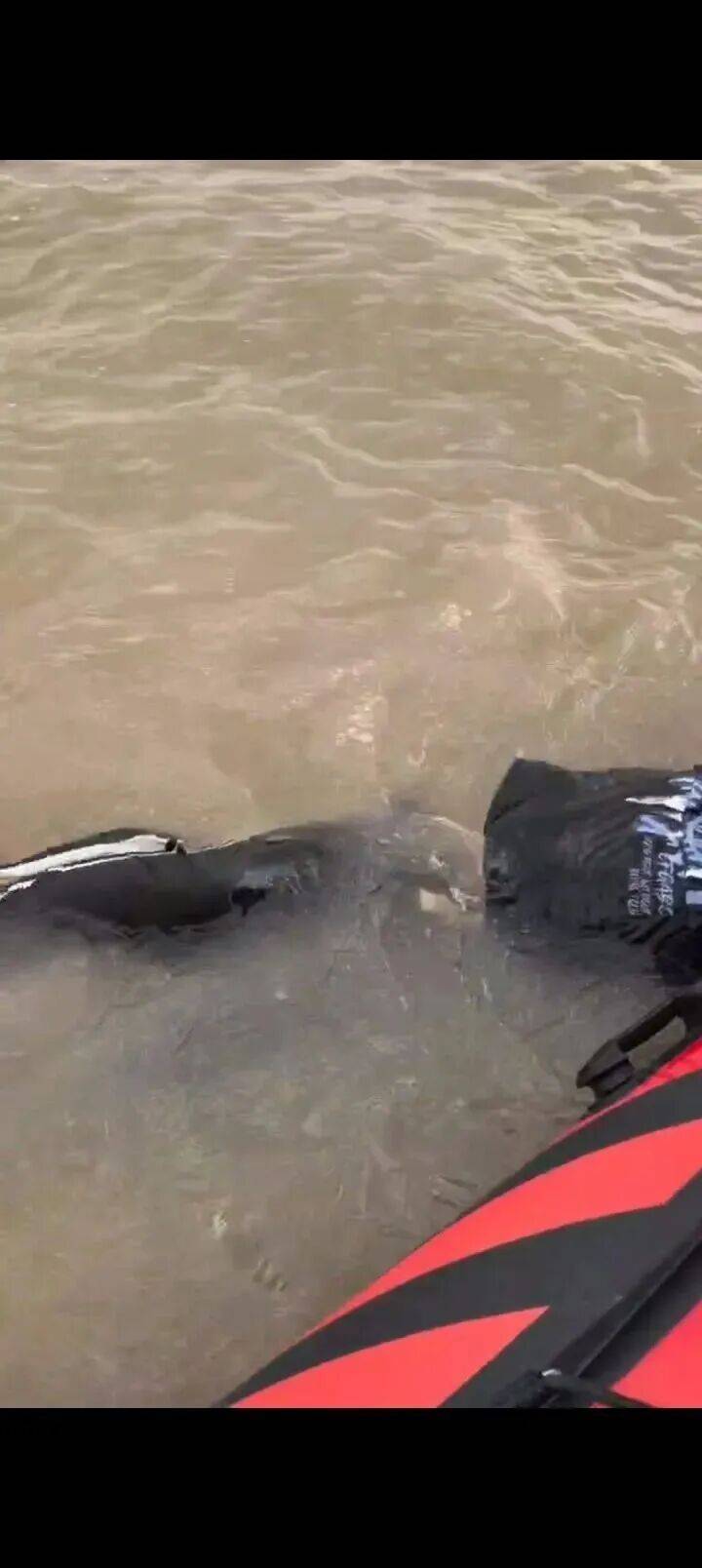 230斤重小伙酒后落水<strong></p>
<p>宁波银行股票</strong>，漂浮7小时终获救……