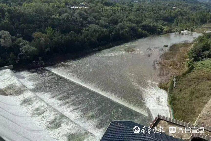 “鱼多得数不过来<strong></p>
<p>facebook股票</strong>，一网子下去能捞好几条”济南锦绣川水库开闸放水，大量鲢鱼被冲出，工作人员：禁止捕捞！