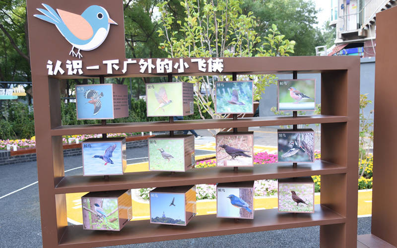 西城区广外街道：“断头路”变身口袋公园<strong></p>
<p>金安国纪股票</strong>，装满民生“微幸福”