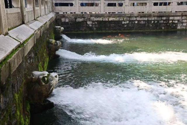 黑虎泉喷得“兽头”都不够用了！济南群泉竞涌<strong></p>
<p>金安国纪股票</strong>，几十年一见