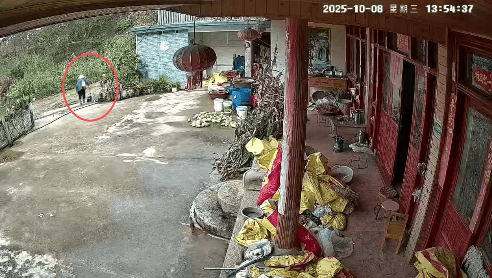 93岁老人进山失联<strong></p>
<p>金安国纪股票</strong>，两天后发现他倒挂在树杈上苦撑……