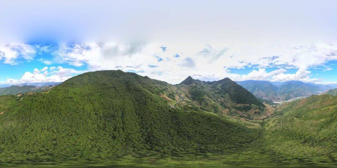 93岁老人进山失联<strong></p>
<p>金安国纪股票</strong>，两天后发现他倒挂在树杈上苦撑……