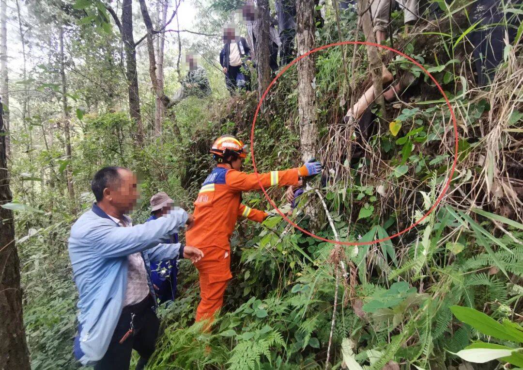 93岁老人进山失联<strong></p>
<p>金安国纪股票</strong>，两天后发现他倒挂在树杈上苦撑……