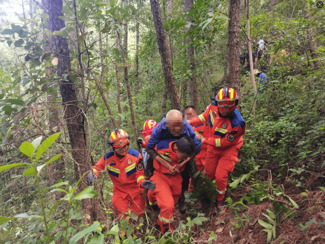93岁老人进山失联<strong></p>
<p>金安国纪股票</strong>，两天后发现他倒挂在树杈上苦撑……