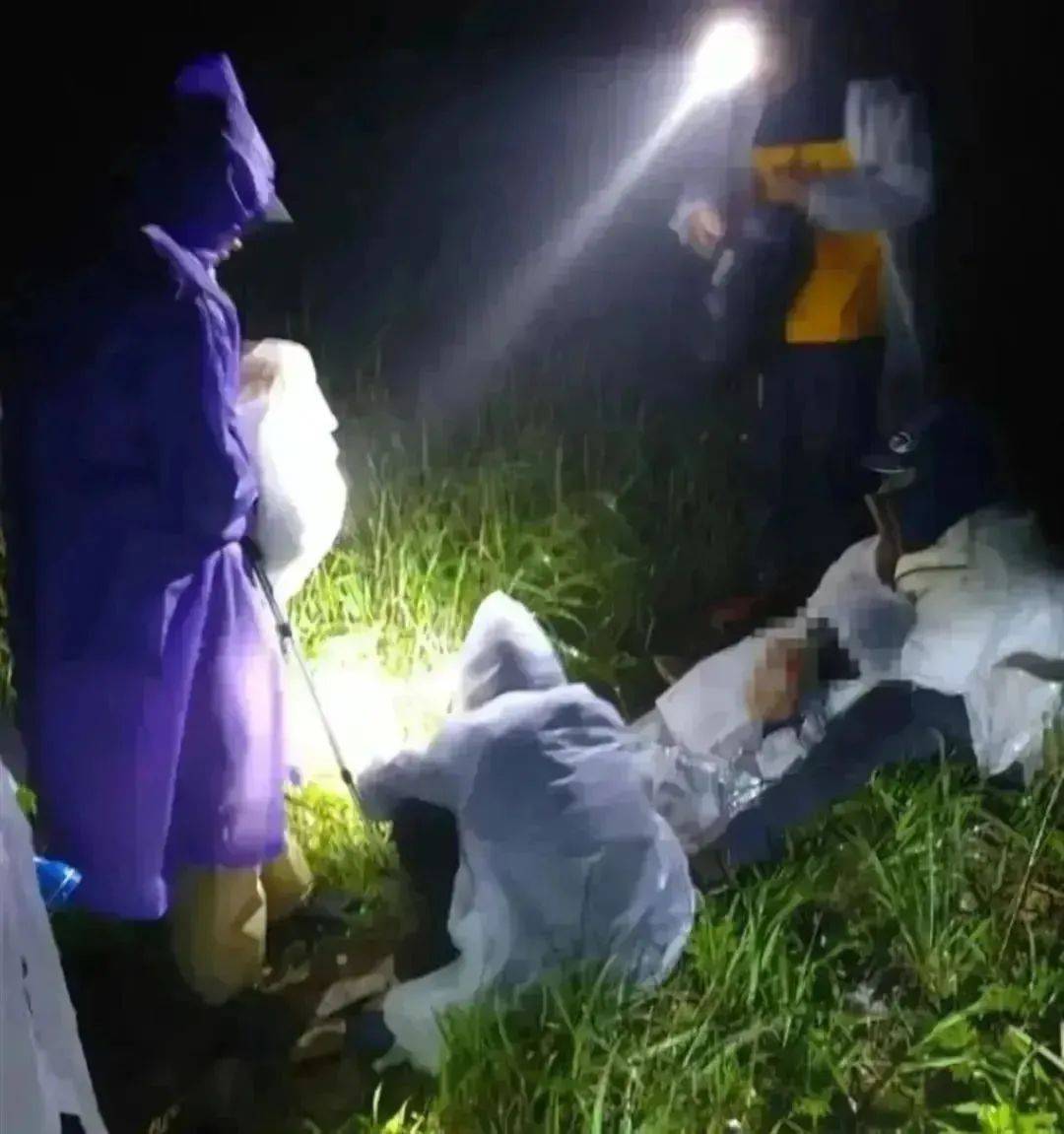 93岁老人进山失联<strong></p>
<p>金安国纪股票</strong>，两天后发现他倒挂在树杈上苦撑……