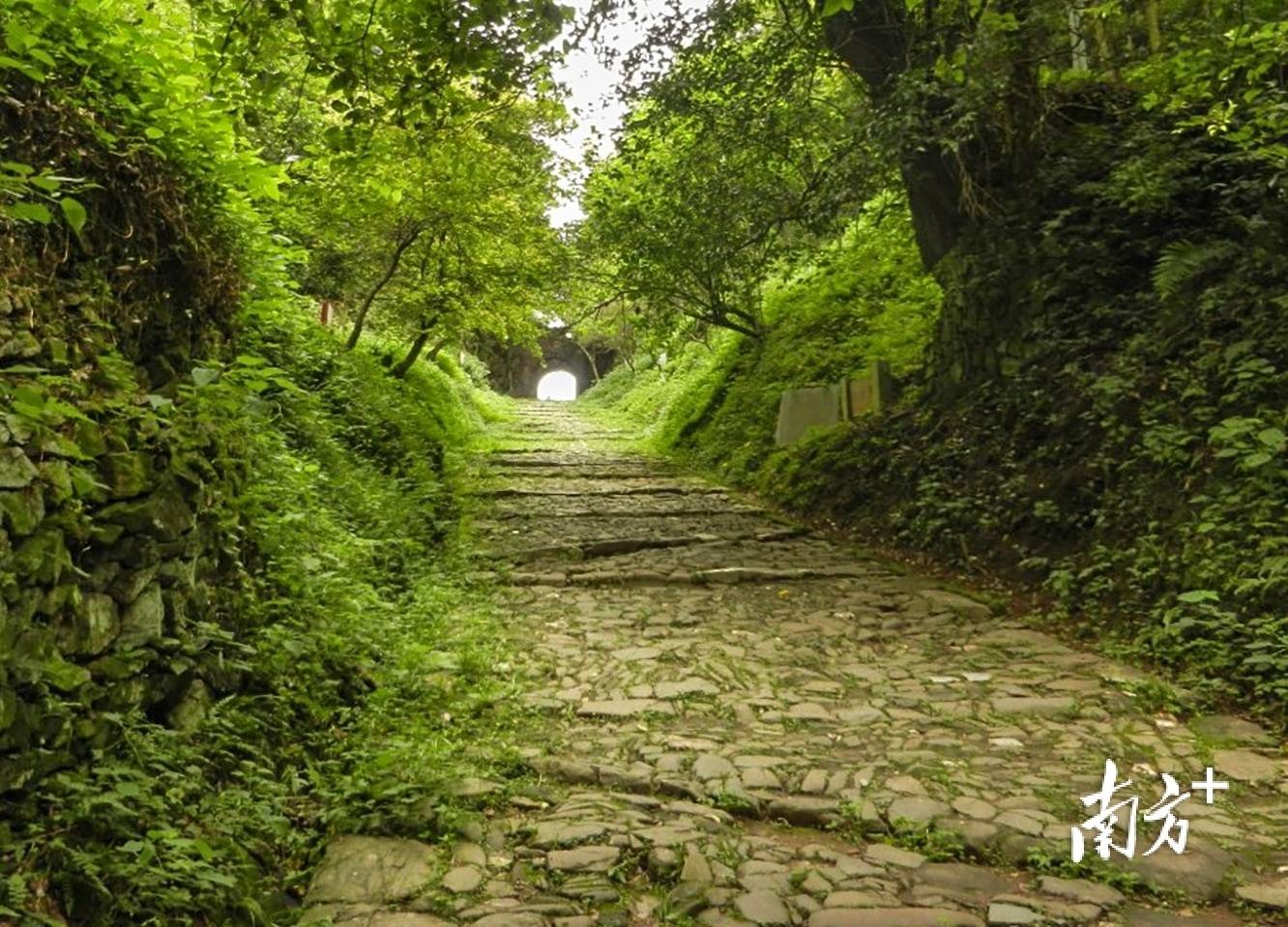 张九龄之妻墓现身西安<strong></p>
<p>金安国纪股票</strong>，“岭南第一人”在岭南还留下这些踪迹