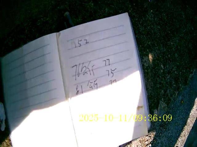 100斤玉米上秤秒变60斤？贵州一村民遭“鬼秤”骗粮！民警出手<strong></p>
<p>华友钴业股票</strong>，5人被拘