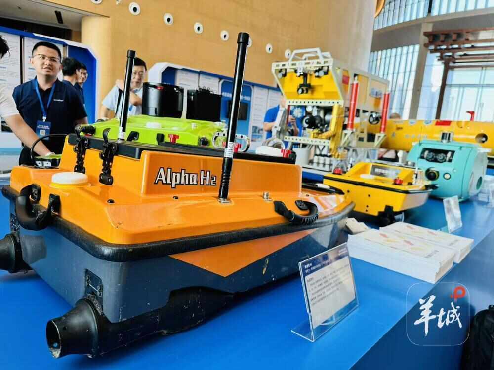 共享蓝色机遇<strong></p>
<p>华友钴业股票</strong>，2025年粤港澳海洋合作发展论坛在穗举办