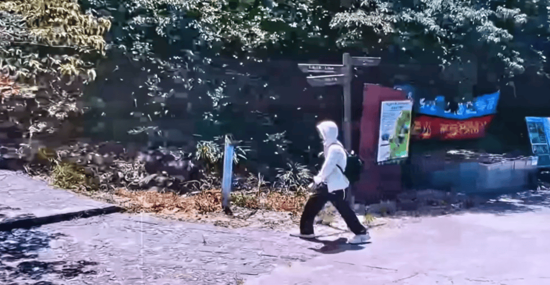 深圳登山失联约70天<strong></p>
<p>网易股票</strong>，27岁男子遗体疑被找到已遇难，其位于一块大石头下，家属回应