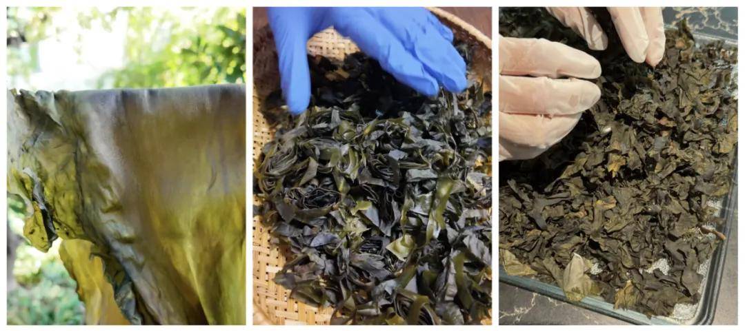 被万亿巨头忽略的赛道<strong></p>
<p>网易股票</strong>,却受年轻人追捧,有公司年销70亿