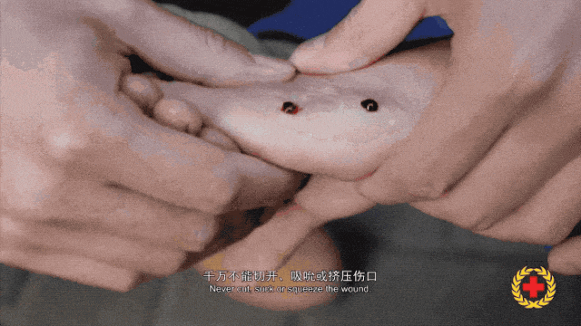 女子半夜上厕所<strong></p>
<p>贝因美股票</strong>，马桶里突然窜出一条蛇！