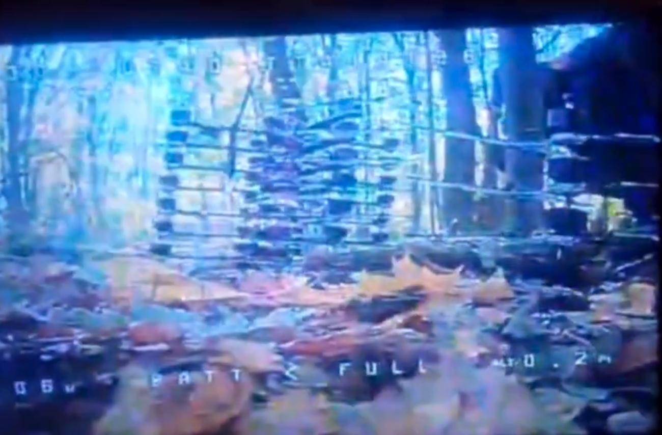 1万朝鲜特种兵凭空消失？苏梅全线告急<strong></p>
<p>贝因美股票</strong>，乌克兰截获绝密前线情报