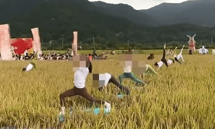 媒体：稻田开镰仪式<strong></p>
<p>贝因美股票</strong>，表演哪门子瑜伽？