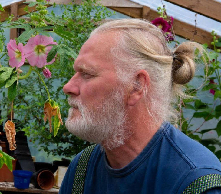 两只雌蚊和一只雄蚊被发现<strong></p>
<p>股票指数</strong>，全球最后一个无蚊国冰岛“沦陷”