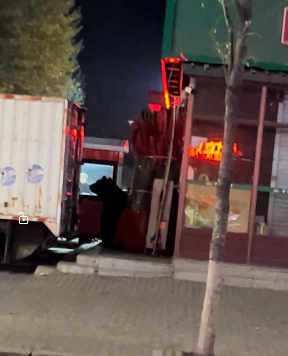 大黑熊夜里独闯黑龙江一县城闹市区<strong></p>
<p>海澜之家股票</strong>，警方连开10多枪击毙，回应为何没用麻醉枪