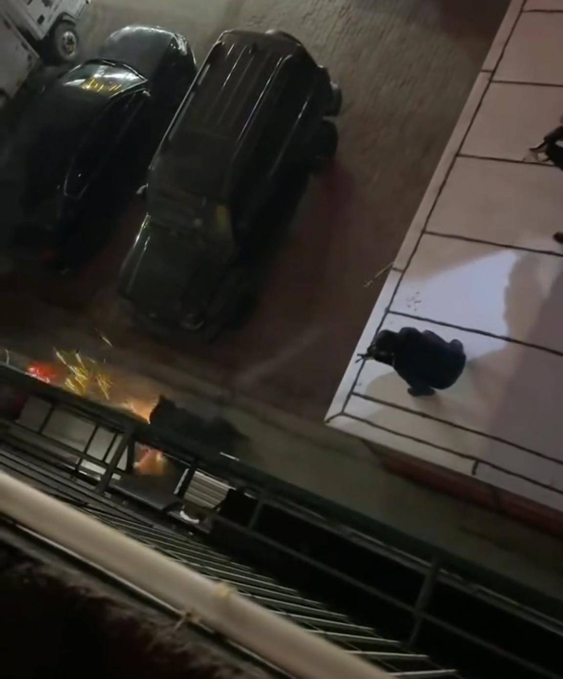 大黑熊夜里独闯黑龙江一县城闹市区<strong></p>
<p>海澜之家股票</strong>，警方连开10多枪击毙，回应为何没用麻醉枪