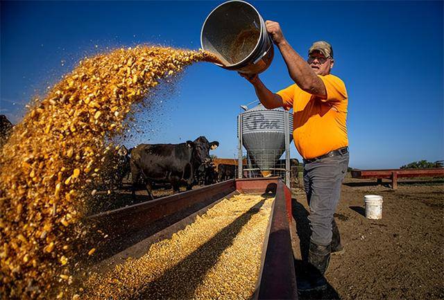 又输给了李成钢<strong></p>
<p>昆仑万维股票</strong>，贝森特承诺：美方不再考虑对华加征100%关税