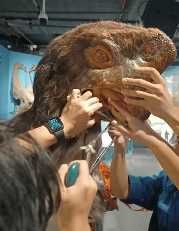 被卡住了<strong></p>
<p>昆仑万维股票</strong>！广州一游客把手伸进恐龙模型嘴中