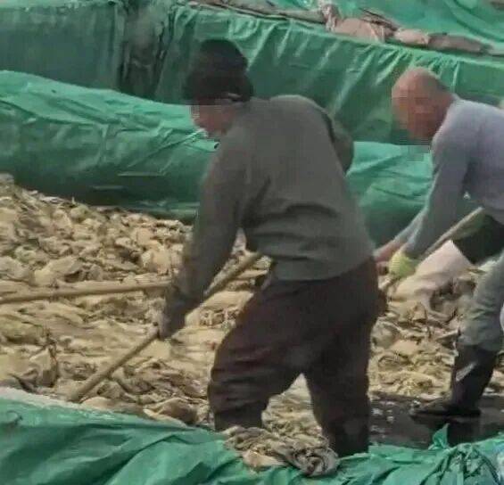 男子在酸菜池内抽烟吐痰<strong></p>
<p>延华智能股票</strong>，官方通报！