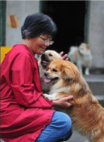 合肥卖房救助流浪狗的魏阿姨离世<strong></p>
<p>上海建工股票</strong>，病中仍然惦记着基地的600只流浪狗，工人：不敢相信世上还有这样执着的人