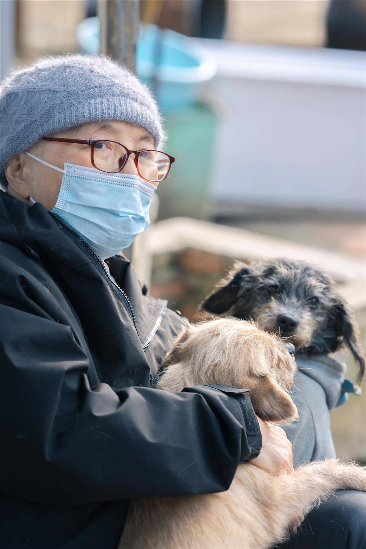 合肥卖房救助流浪狗的魏阿姨离世<strong></p>
<p>上海建工股票</strong>，病中仍然惦记着基地的600只流浪狗，工人：不敢相信世上还有这样执着的人