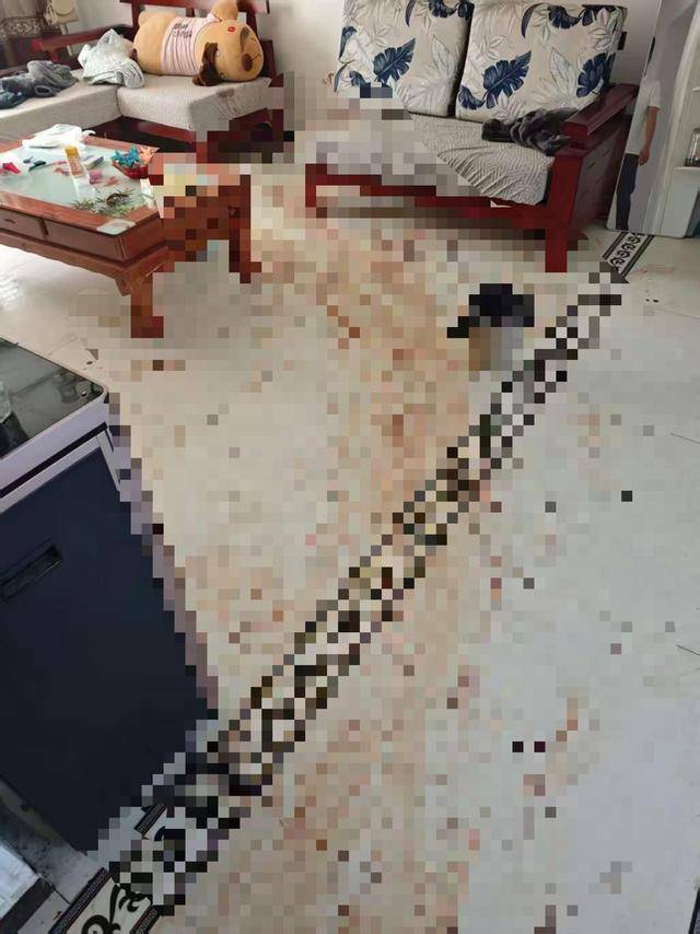 “女子出租屋遭男友持刀杀害”案明日开庭<strong></p>
<p>中国能建股票</strong>，家属发声：凶手从未道歉，我们不会谅解