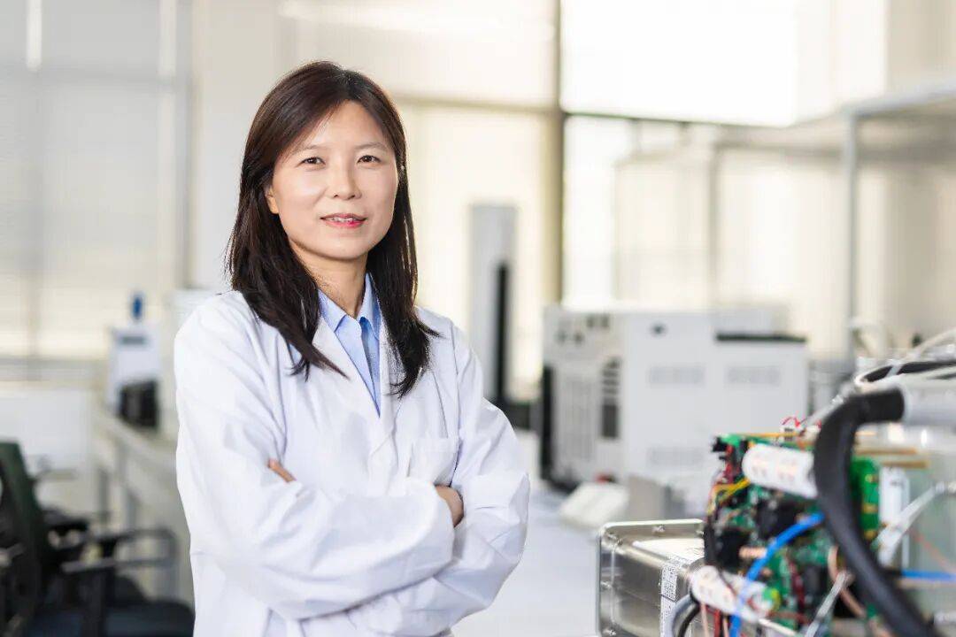 认真学习贯彻党的二十届四中全会精神！来听听他们怎么说