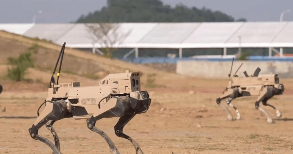 解放军“机器狼”投入台海<strong></p>
<p>久其软件股票</strong>，集群抢滩动作丝滑