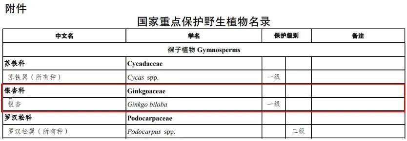 满大街都是银杏树<strong></p>
<p>久其软件股票</strong>，为什么还是濒危物种？