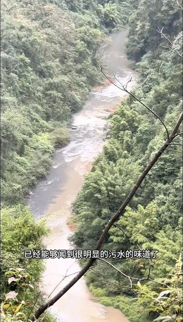 重庆通报：坚决查处<strong></p>
<p>南极电商股票</strong>，绝不姑息