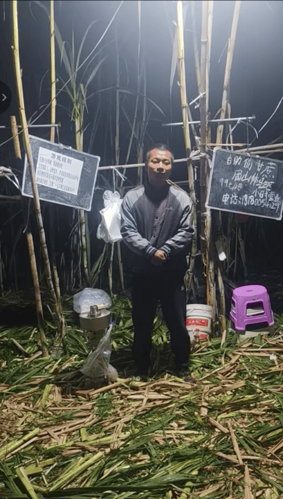 四川眉山自助“偷甘蔗”老板称有人只“偷”不给钱<strong></p>
<p>中国铁建股票</strong>，当地文旅：已安排人员现场协调