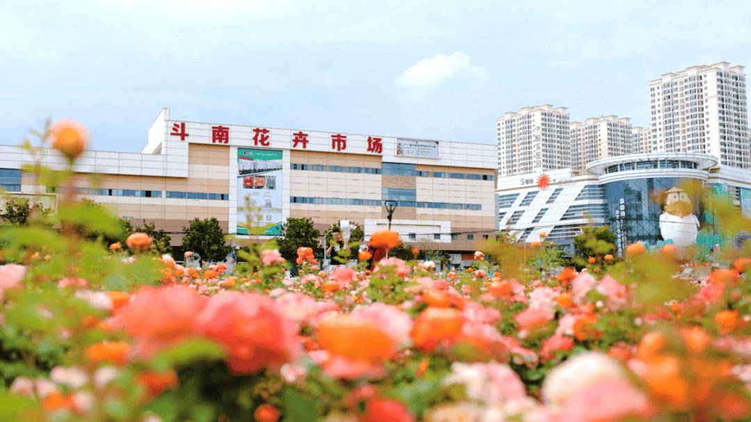 跟着赛事游昆明｜一路景观如画<strong></p>
<p>中国铁建股票</strong>！2025上合昆明马拉松路线图最新公布→