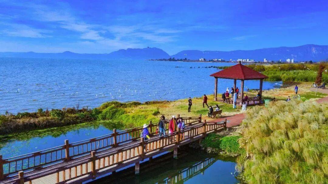 跟着赛事游昆明｜一路景观如画<strong></p>
<p>中国铁建股票</strong>！2025上合昆明马拉松路线图最新公布→