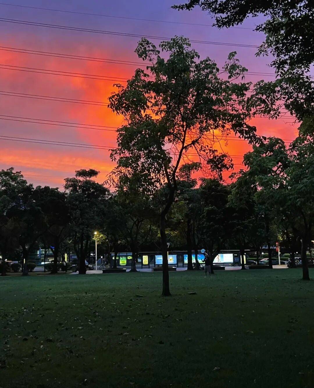 第一批丁克老后<strong></p>
<p>中国铁建股票</strong>，“伴侣能陪一程，但最后都要靠自己”