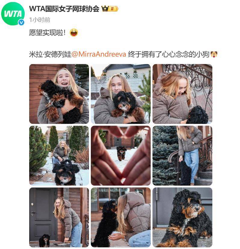 “小米辣”终于有了自己的小狗！曾说养狗是赢球的动力<strong></p>
<p>东北制药股票</strong>，WTA官方发“贺信”：愿望实现啦！