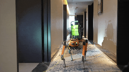 直击339米温州第一高楼“灭火救援现场”<strong></p>
<p>顺丰股票</strong>，多部门紧急联动“以练促战”！