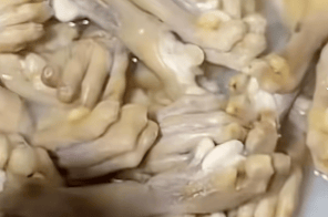 湖南一烧烤店直播煮动物爪子引争议<strong></p>
<p>广晟有色股票</strong>，涉事商家回应