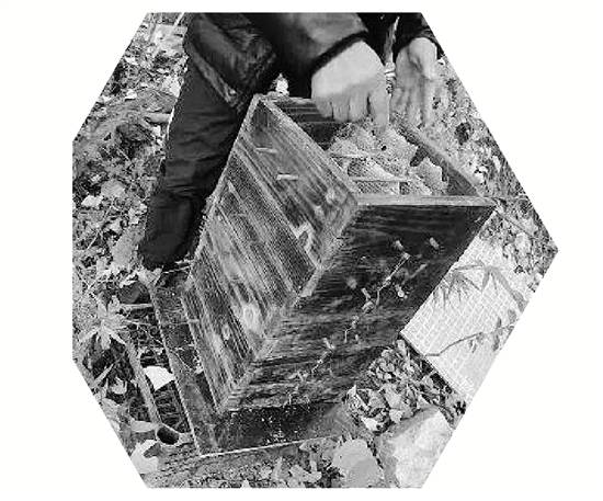 两派蜜蜂打群架，伤亡惨重 民警：别打了，赔钱赔蜂蜜