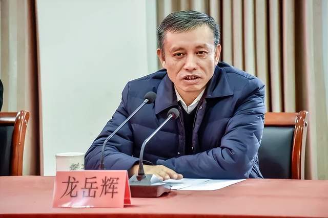 主动投案<strong></p>
<p>东鹏饮料股票</strong>，国家税务总局浙江省税务局原党委书记、副局长龙岳辉接受审查调查