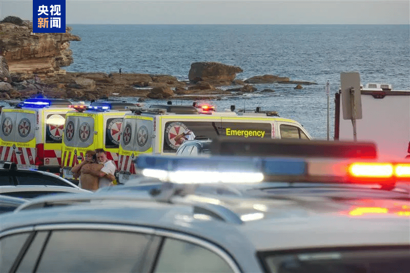 澳大利亚海滩枪击事件两名枪手为父子关系<strong></p>
<p>东鹏饮料股票</strong>，父亲50岁，儿子24岁！一名路人冒险夺枪反击，身中两弹，需接受手术