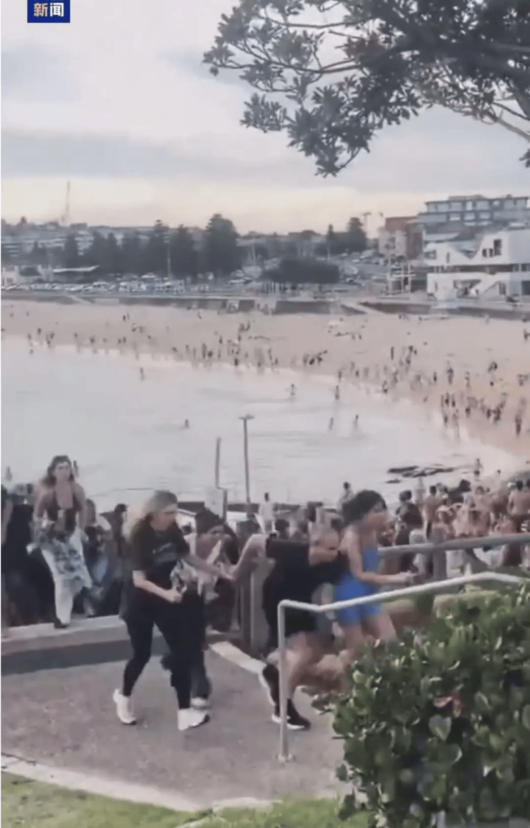 澳大利亚海滩枪击事件两名枪手为父子关系<strong></p>
<p>东鹏饮料股票</strong>，父亲50岁，儿子24岁！一名路人冒险夺枪反击，身中两弹，需接受手术