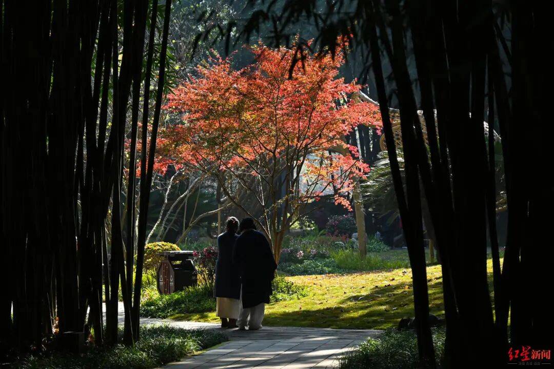 我国已进入拉尼娜状态<strong></p>
<p>浦发银行股票</strong>！四川今冬或“前暖后冷”