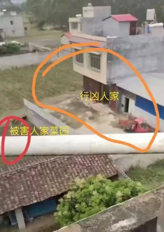 刚刚宣判：何某乖<strong></p>
<p>浦发银行股票</strong>，改判死刑！