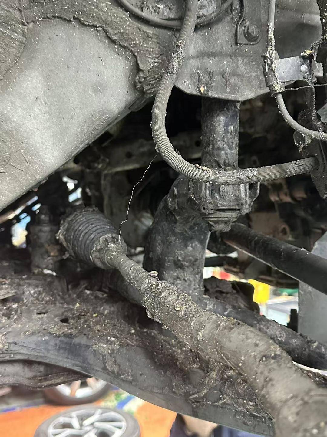 紫牛头条｜40余车辆遭高速海鲜废料“臭袭”<strong></p>
<p>光大银行股票</strong>，交警称“非交通事故”，车主维权陷两难