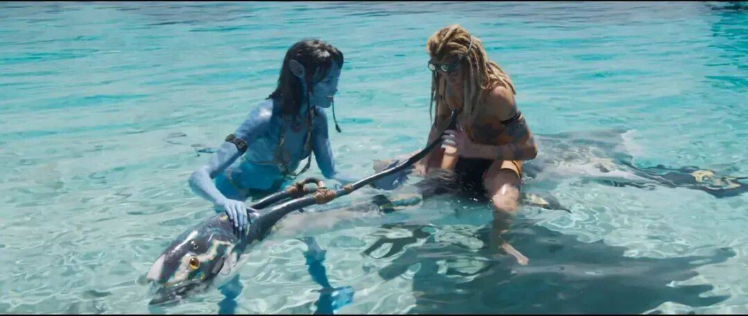 仿佛又看了一遍《阿凡达2》…票房口碑不及前作的《阿凡达3》真审美疲劳了吗<strong></p>
<p>青岛啤酒股票</strong>？