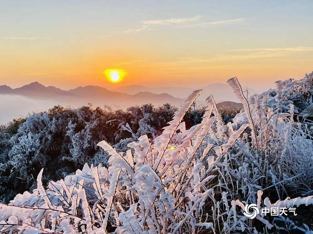 冷空气带来风寒体感