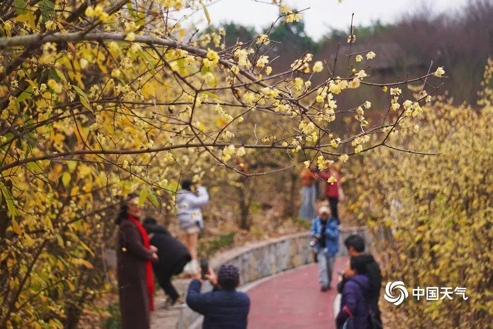 冷空气带来风寒体感