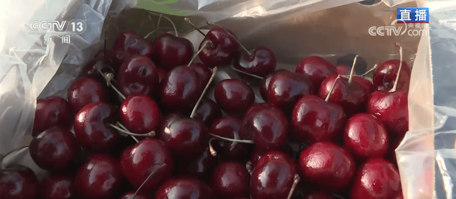 人气旺、消费火<strong></p>
<p>中天科技股票</strong>，热气腾腾！各地市场活跃繁荣 “年经济”释放“新”热度